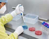 Cabine de sécurité biologique AirBio Falcon Classe II B2 3 pieds, équipement de laboratoire de diagnostic moléculaire