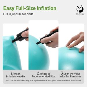 Palla da Pilates da 9 Pollici Anti-Scoppio, Palla per Yoga e Stabilità, Accessorio per Esercizi di Rafforzamento del Core e Terapia Fisica - Product Image 2
