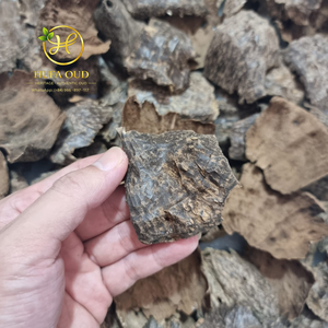 Découvrez ce qui rend les bâtonnets d'encens en bois d'oud 100% naturel HUFA OUD HP-CH0 du Vietnam à l'odeur si exceptionnelle - Product Image 3