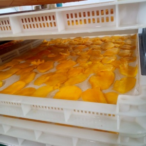 Rodajas de Mango Seco Suave de Vietnam, Suministro al por Mayor para Marcas de Marca Privada - Product Image 6