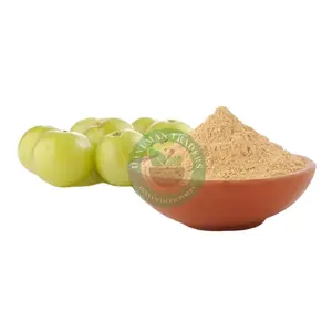 Top selling Huge Demand on High Quality Bulk Amla Powder fresh amla fruit powder supplier from India