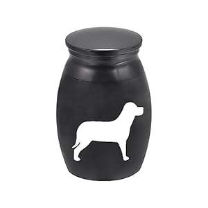 Urna Conmemorativa para Mascotas de Estilo Europeo y Americano, de Metal, para Cenizas, con Nombre Personalizado y Diseño Personalizable, Recuerdo para un Compañero Querido - Product Image 4