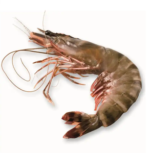 Crevettes tigrées surgelées fraîches pour les grossistes en produits de la mer, avec une texture ferme, un goût naturel, un calibrage uniforme et une température sécurisée - Product Image 6