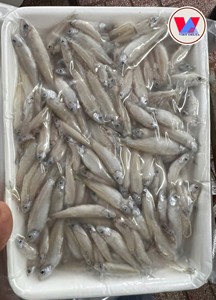 Anchois entiers congelés en gros, petits poissons congelés, fournisseur de fruits de mer en vrac du Vietnam - Product Image 3