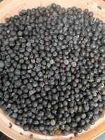 Fournisseur en vrac Graines de noix de savon