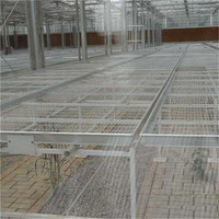 Table de travail de serre multi-usages réglable en hauteur, en treillis métallique galvanisé résistant à la corrosion, grande taille, pour semis