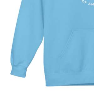 Pink Graphic <b>Light</b> Blue Hoodie <b>Circle</b> Embroidered Fleece Pullover Sweatshirt Long Sleeve Unisex Casual Winter Fashion Apparel - Product Image 5