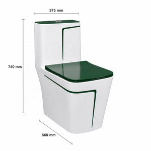 Inodoro Moderno y Elegante de Una Pieza, Color Blanco con Franja Verde, Taza Alargada, Descarga por Arrastre, Montaje Empotrado - Product Image 4
