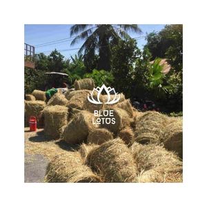 MATERIAL SUPERIOR de Paja de Arroz Seca para Cama de Animales, Compostaje, Mulching, Proyectos de Manualidades y Embalaje - Product Image 1