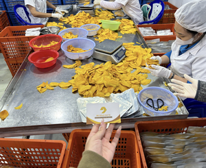 Mangue séchée moelleuse aux saveurs tropicales, matière première naturelle du Vietnam pour la production de snacks, desserts et ingrédients alimentaires - Product Image 5