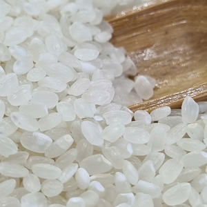 Arroz japonés Calrose de grano redondo disponible en envases a granel de 5 kg, 10 kg, 20 kg, 25 kg y 50 kg - Product Image 5