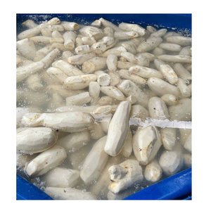 Cubos de Taro Congelados de Origen Vietnamita para Cocinas Industriales y Servicios de Catering - Product Image 4