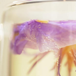 Conformité alimentaire de l'UE 0.5 KG/sac bio en vrac fleurs de Lotus bleu égyptien relaxant Nymphaea Caerulea thé aux herbes sain <span class=keywords><strong>naturel</strong></span> Iegal - Product Image 4