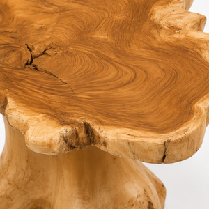 Table basse ARTERRA en teck massif, faite à la main, écologique, facile à nettoyer, durable, moderne, en racine de teck récupérée, mobilier de maison - Product Image 5