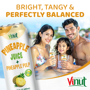Échantillon Gratuit en Gros pour Jus de Pomme de Terre avec Pulpe 490ml en Canette Stérilisée OEM ODM Fabricant de Boissons Marque Privée Vietnam 100% - Product Image 3