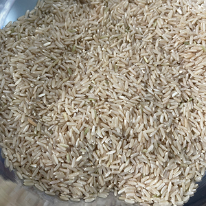 ข้าวกล้องคุณภาพพรีเมียม ขายส่งจำนวนมาก พร้อมจัดส่ง เกรดอาหาร บริการ OEM จัดหาจำนวนมาก คุณภาพดีที่สุด ส่งออก - Product Image 5
