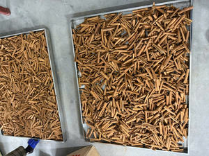 Canela en Barra Seca Orgánica Natural de Buena Calidad y Buen Precio, Alta en Antioxidantes, Uso Herbal Tradicional, Proveedor Certificado - Product Image 3