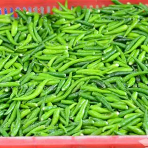 พริกแดงสด พริกเผ็ดร้อน ราคาขายส่ง - พริกแห้งและพริกสดมาตรฐานส่งออก รสเผ็ด - Product Image 3