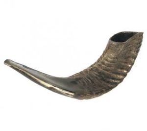 Shofar en corne de buffle - Artisanat écologique en corne de buffle - Product Image 4