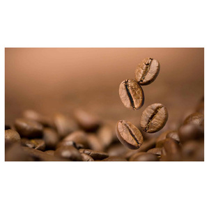 Granos de Café Arábica Naturales para Pedidos al por Mayor y Empresas Globales de Comercio de Café - Product Image 2