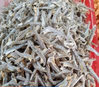 Anchois séchés en gros, Anchois séchés, Fruits de mer séchés, Fabricant de produits de la mer, Anchois séchés en vrac, Anchois séchés au soleil avec sel