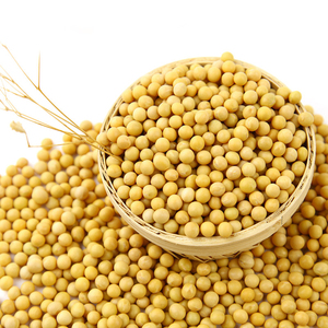 Soja en vrac de qualité supérieure pour l'industrie mondiale de la transformation alimentaire - Product Image 3