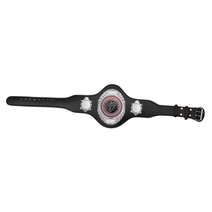 เข็มขัดแชมป์พร้อมดีเทลสีแดง เข็มขัดแชมป์มวยปล้ำระดับพรีเมียม รุ่นสะสม - Product Image 3