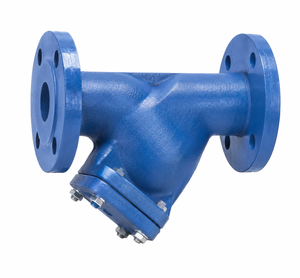 Filtro en Y de hierro fundido de 1 pulgada con extremo bridado y tapa atornillada, pantalla perforada de acero inoxidable, presión hidráulica de 370 PSIG - Product Image 1