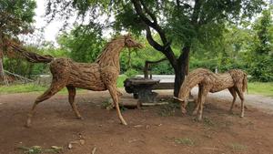 รูปปั้นกวางจากไม้ - Product Image 2