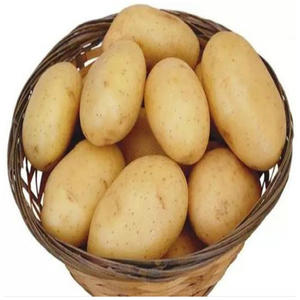 มันฝรั่งสด มันฝรั่งแบบออร์แกนิก น้ำหนักสุทธิ - Product Image 5