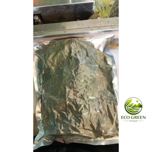 ใบมะเฟืองอบแห้งออร์แกนิก ชาสมุนไพรอันโนนา มูริคาตา ชาดีท็อกซ์ธรรมชาติ ผู้จัดจำหน่ายส่งจากเวียดนาม คุณภาพสูง - Product Image 2