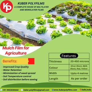 ฟิล์มคลุมดินพลาสติกแบบหนาป้องกันรังสียูวีหนา20-450ไมครอน4เมตรแบบกำหนดเองได้เสื่อวัชพืชทำขึ้นรูปวัสดุ PE เพื่อการเกษตร - Product Image 4