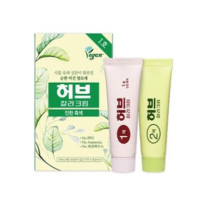 Dong Sung Pharmaceutical Herb Speedy Color Crème Couleur 3 Vegan Teinture pour les cheveux Ombrage - Product Image 1