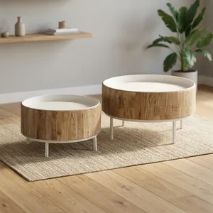 Mesas de Centro Redondas Modernas de Madera con Bandeja Superior y Patas de Metal, Muebles Escandinavos para Sala de Estar - Product Image 1