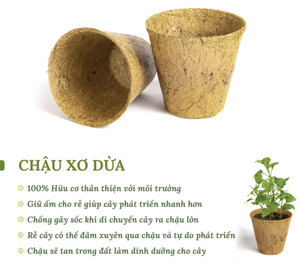 Pot en fibre de coco écologique - Contenant de culture biodégradable pour semis de plantes de jardin - Product Image 5