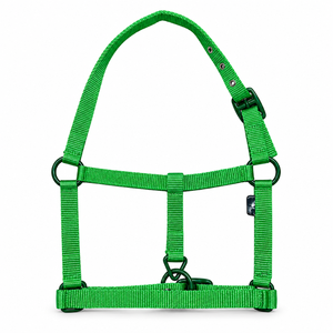 Harnais pour cheval en nylon vert avec couronne réglable et anneaux métalliques |   Collier équestre vert vif avec sangle tissée côtelée - Product Image 1