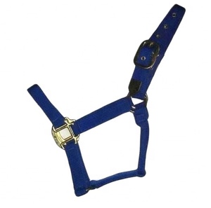 Designer Nylon Horse <b>Halter</b> with Rope Brass Buckle Horse Accessories - Product Image 1