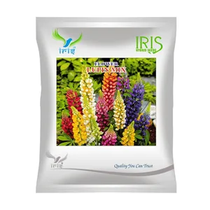 Mélange de graines de fleurs d'iris lupin hybrides séchées OP avec feuillage en forme de palmier et fleurs variées - Product Image 1