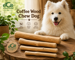 Bâtonnets à mâcher en bois de café Eco2go Vietnam, friandises naturelles pour chiens, sûres et non toxiques, fabriquées au Vietnam - Product Image 5