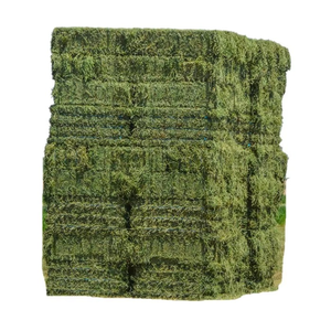 Hierba Timothy Natural de Alta Calidad, Rica en Fibra e Ideal para la Nutrición del Ganado - Product Image 1