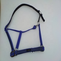 Cabestro de Latón Pulido para Caballo Miniatura con Turquesa, Collar de Cabeza Resistente para Caballo, Equipo de Equitación, Kanpur, India