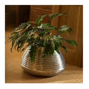 Maceta Metálica de Lujo con Acabado Dorado, Elegante Contenedor Decorativo para Plantas, Decoración Premium para Interiores y Exteriores - Product Image 6