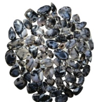 Cabochons en Agate Dendritique Naturelle Certifiée par des Tiers de Haute Qualité, Formes Mixtes, 20-45mm, 8-12g, Pierres Précieuses pour Bijoux