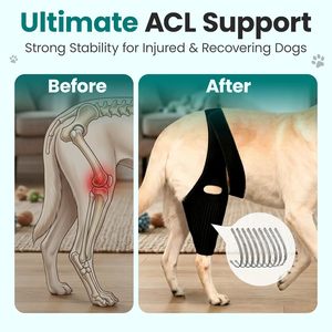 Adjustable Dog Knee <b>Brace</b> Protecter Hip <b>Brace</b> Support for Torn ACL with Side Stabilizers Neoprene Dog Hind Leg <b>Back</b> Leg Support - Product Image 5