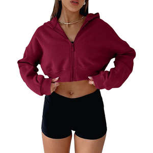 Sudadera corta de manga larga para mujer de alta calidad, Sudadera con capucha, Jersey Y2K con cremallera, ajuste holgado informal para Otoño/Invierno, logotipo frontal - Product Image 6