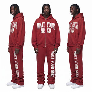 Chándal Personalizado para Hombre, Sudadera con Capucha de Felpa Bordada de Gran Tamaño, Pantalones Deportivos de Algodón de 450 GSM, Chándal con Cremallera para Invierno - Product Image 5