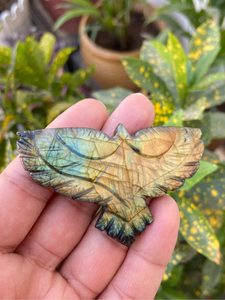Labradorite Eagle Figurine | Hand Carved Crystal Bird <b>Statue</b> for Home Decor, Gifts & Collectors - Product Image 4