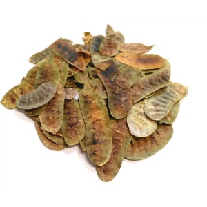 Gousses de séné de qualité supérieure pour la production de boissons à base de plantes, formules de soutien digestif et approvisionnement en ingrédients botaniques - Product Image 6