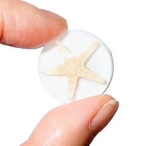 Estrella de Mar, Espécimen Real, Cabujón de Plástico Redondo de 25x25 mm, Base Plana Blanca para Manualidades y Joyería - Product Image 2