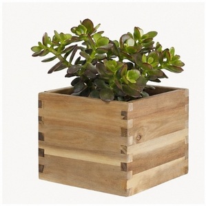 Jardinière rectangulaire en bois d'acacia sur mesure, pot à fleurs en bois massif naturel avec boîte pour la décoration intérieure et extérieure du jardin - Product Image 4